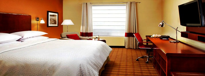 839/Four Points by Sheraton - Agra 10.jpg